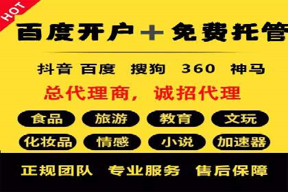 案例分析：成功SEM托管策略全解析